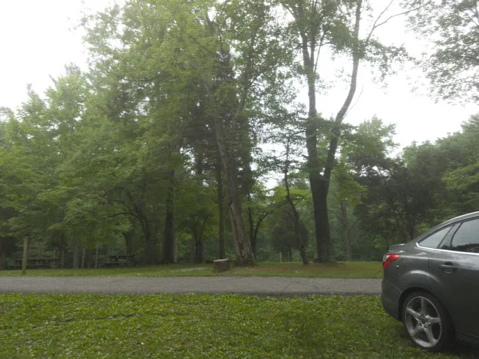 Gobbler's Run Campground Picture 3