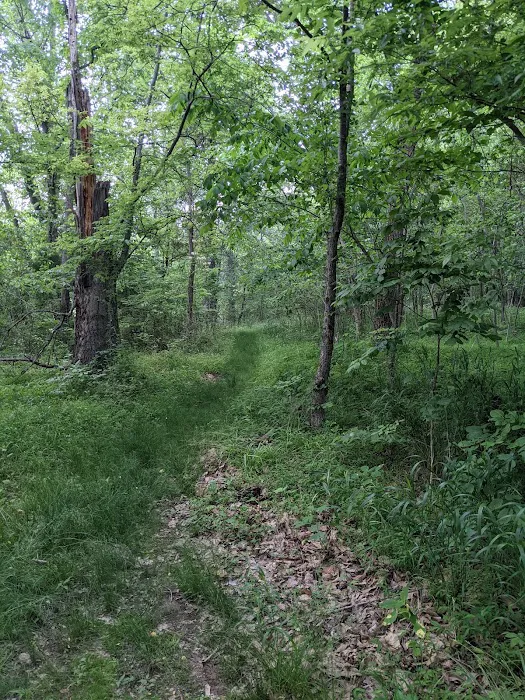 Gobbler's Run Campground Picture 5