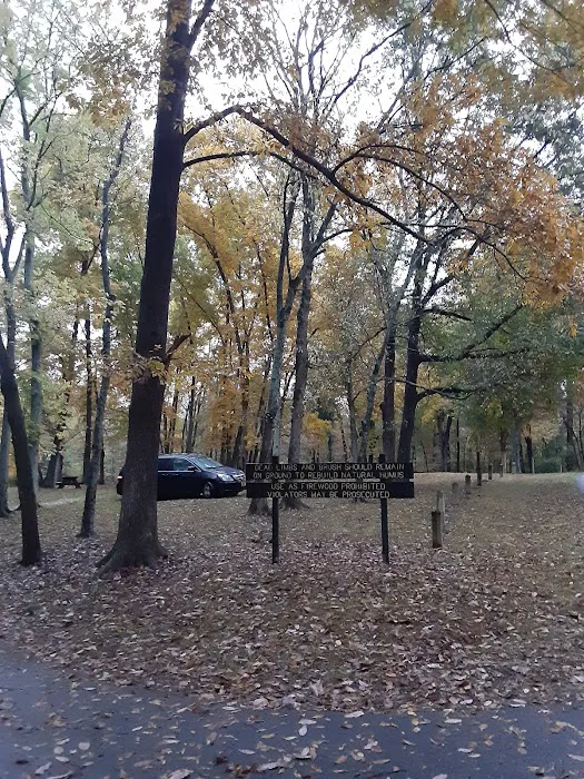 Gobbler's Run Campground Picture 4