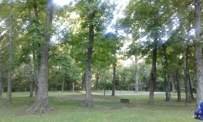 Gobbler's Run Campground Picture 9