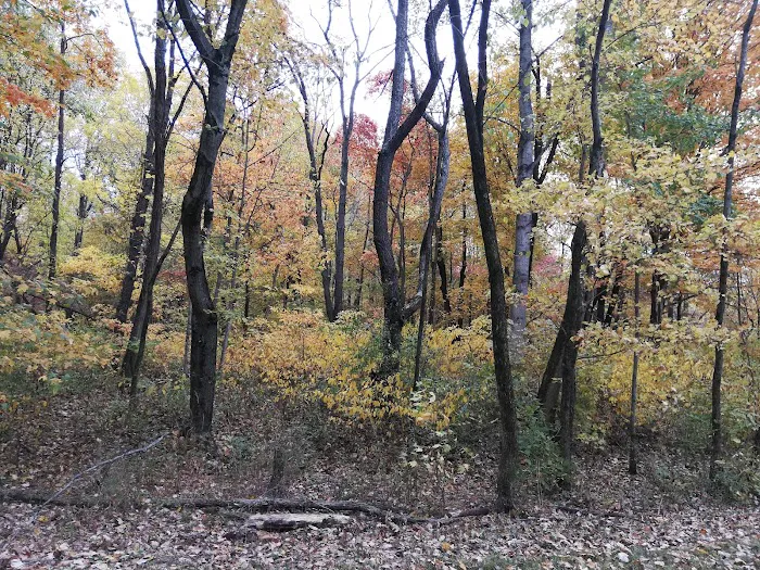 Glendale Campground Picture 12