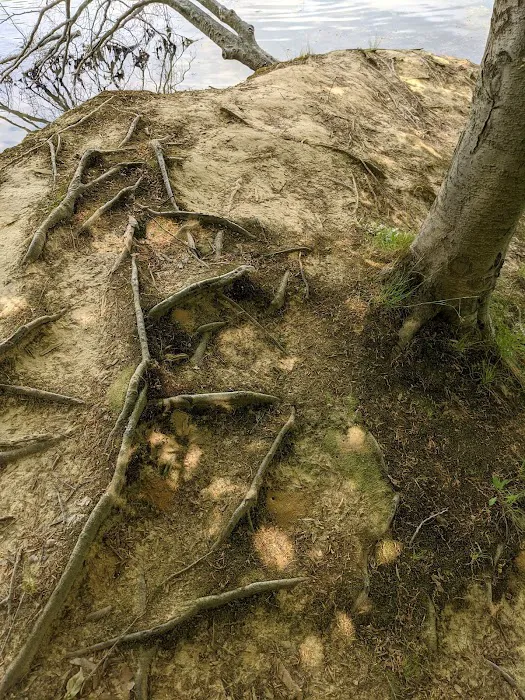 Glendale Campground Picture 15