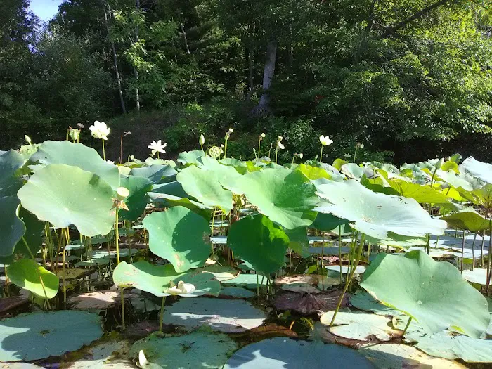 Glendale Campground Picture 14