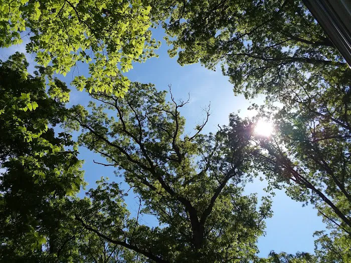 Glendale Campground Picture 18