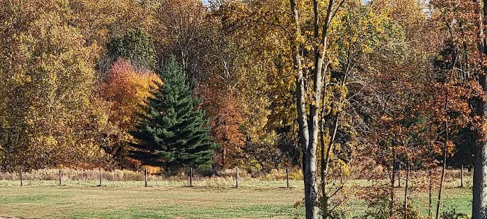 Hudsonville Family Campground Picture 4