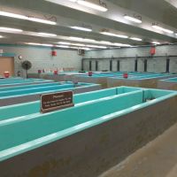 U.S. Army Corps of Engineers Kendall Campground ico