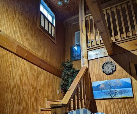 Victor Speedy Davis Cabin rentals