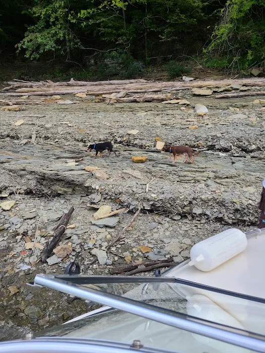 U.S. Army Corps of Engineers Cumberland Point Campground Picture 5