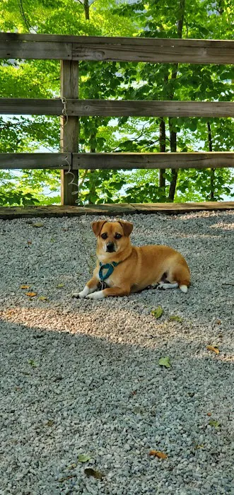 U.S. Army Corps of Engineers Cumberland Point Campground Picture 7