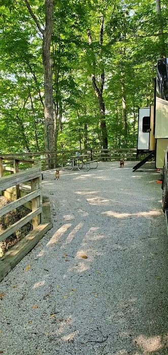 U.S. Army Corps of Engineers Cumberland Point Campground Picture 8