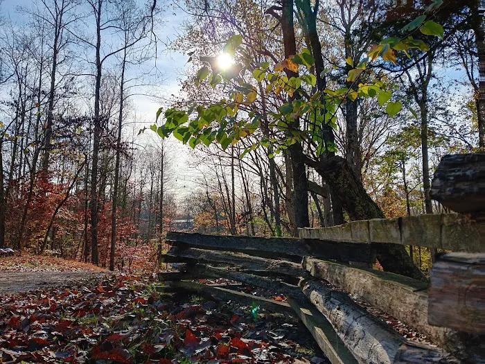 Hidden Ridge Camping Picture 6