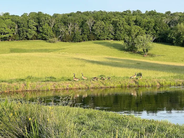 The Point Campground & Farm Picture 2