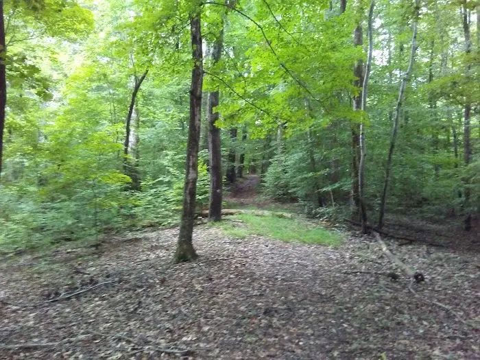 Lake Cumberland 4-H Camping Center Picture 10