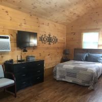 Born Again Camping and Antiques ico