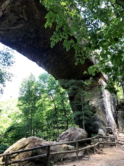 Hippie Hollow Cabins Picture 6