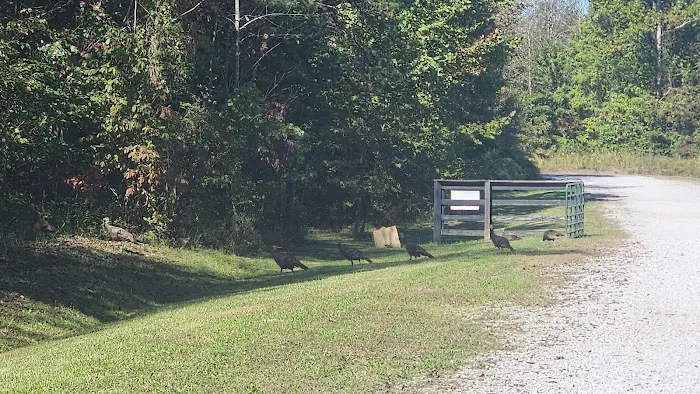 Cross Mountain Campground Picture 4
