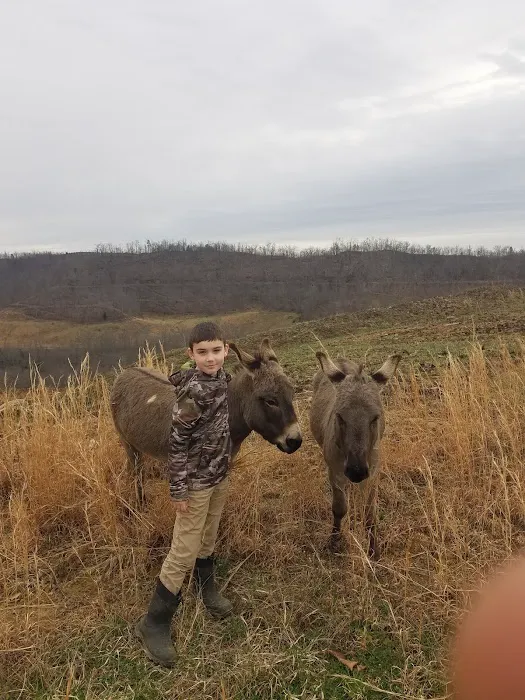 Buffalo Camp & Ride Picture 3