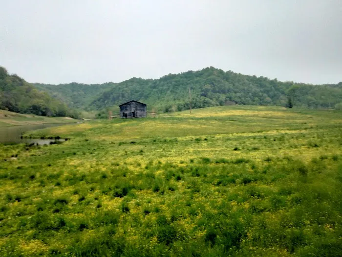 Crockettsville Picture 9
