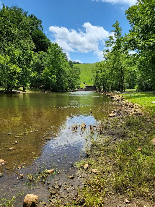 Buckhorn Campground Picture 10