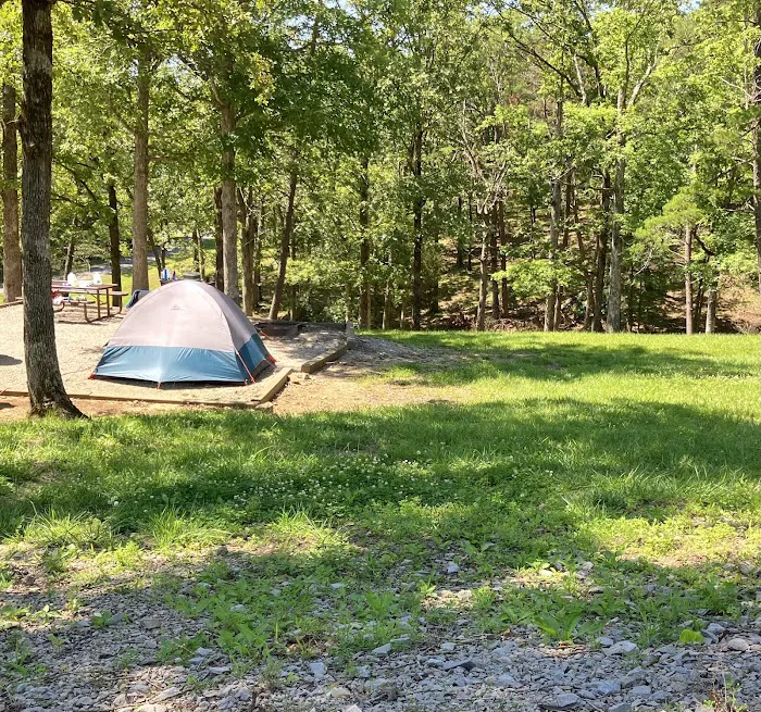 Moutardier Campground Picture 7