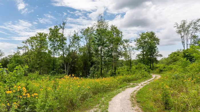 Thousand Trails Diamond Caverns RV & Golf Resort Picture 6