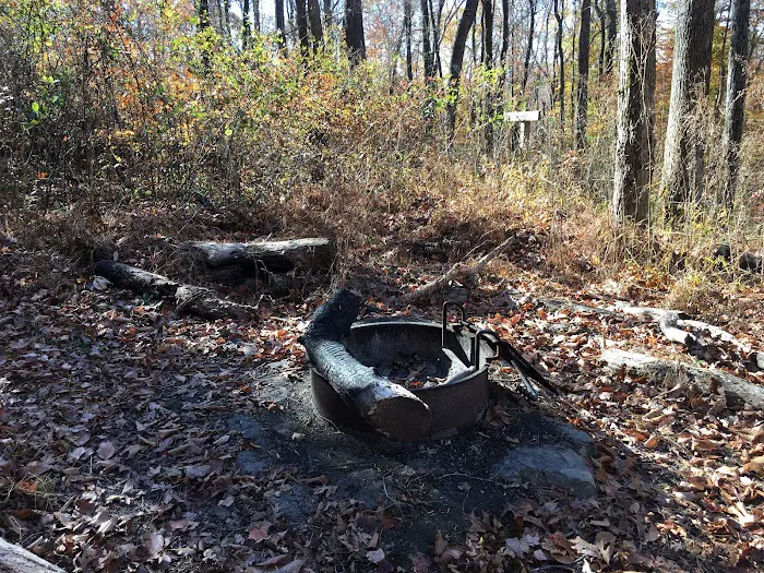 Sal Hollow Campground Picture 2