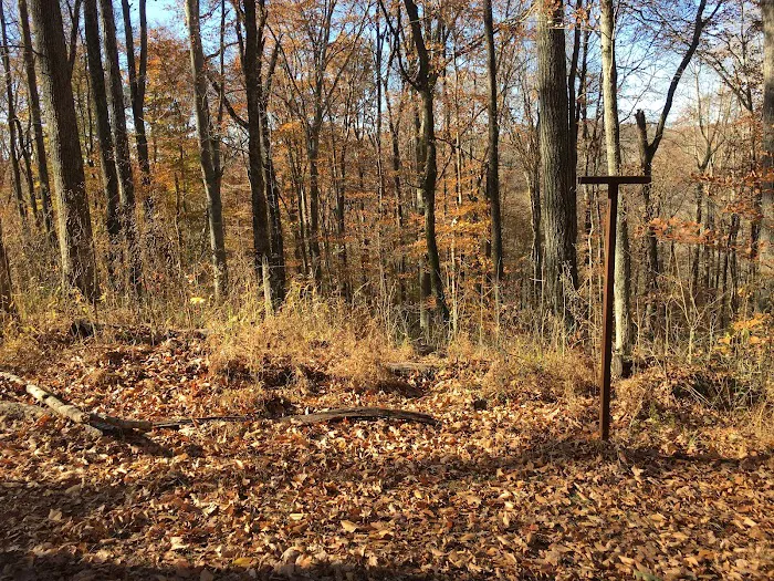 Sal Hollow Campground Picture 3