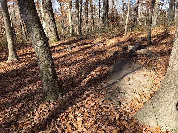 Sal Hollow Campground Picture 1