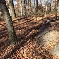 Sal Hollow Campground ico