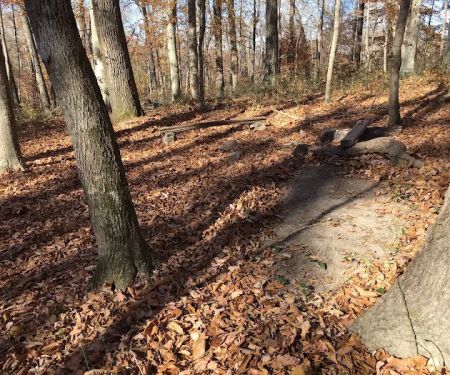 Sal Hollow Campground