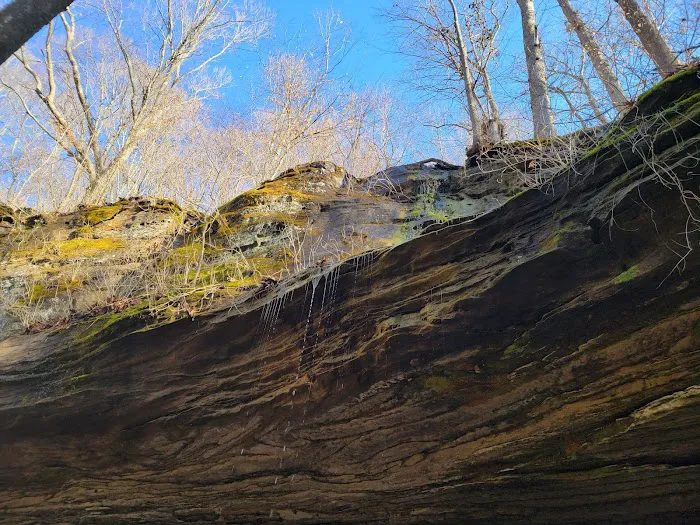 Bluffs Campground Picture 6