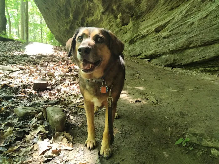 Bluffs Campground Picture 5