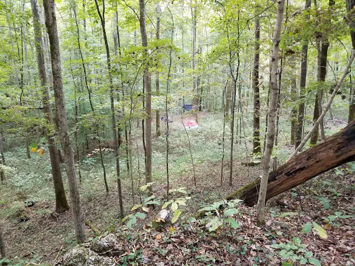 Three Springs Campground Picture 1