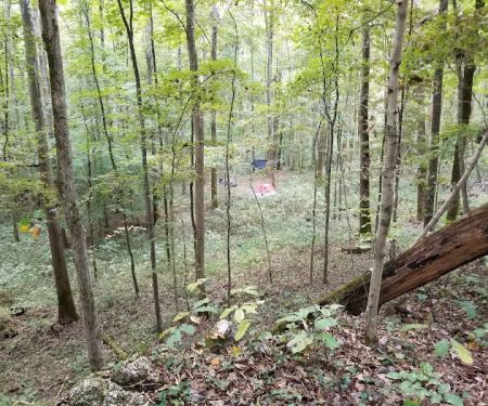 Three Springs Campground