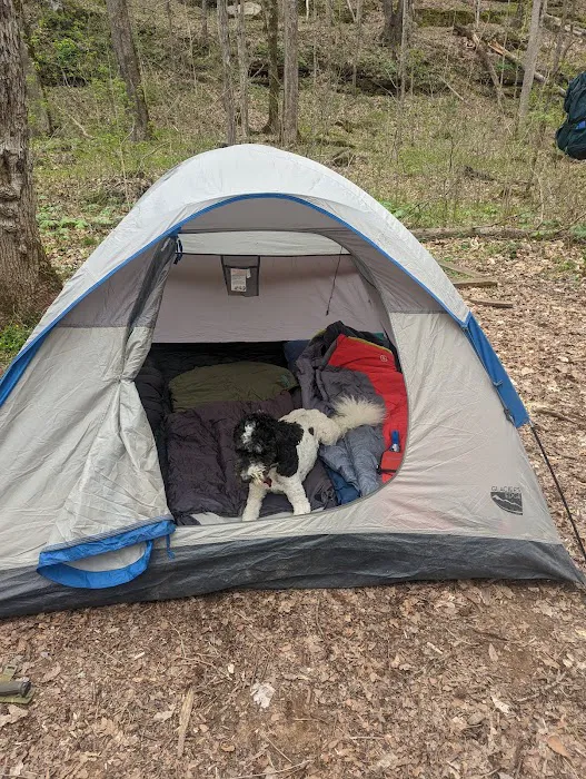 Three Springs Campground Picture 2