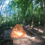 First Creek 2 Campground