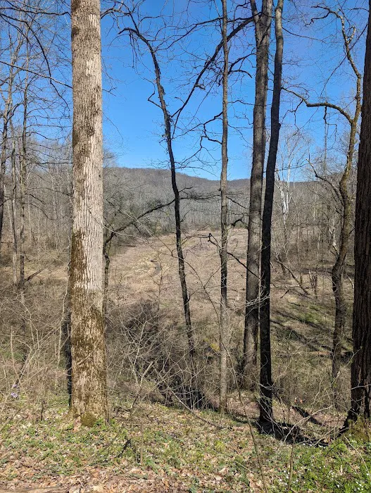 Edmonson County Picture 5