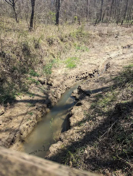 Edmonson County Picture 7