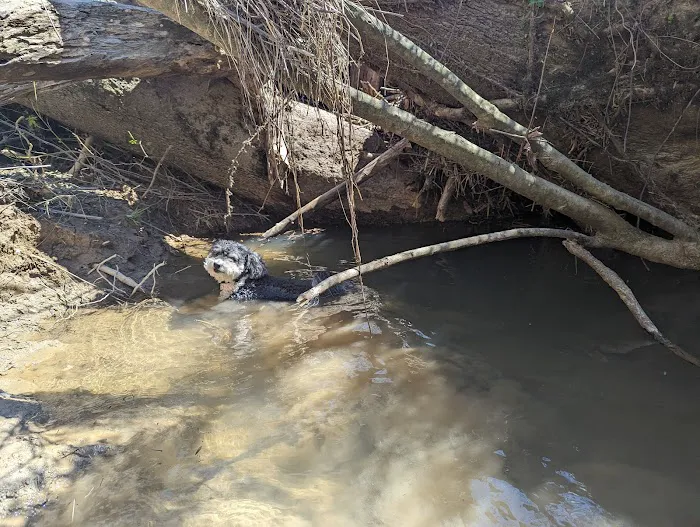 Edmonson County Picture 9
