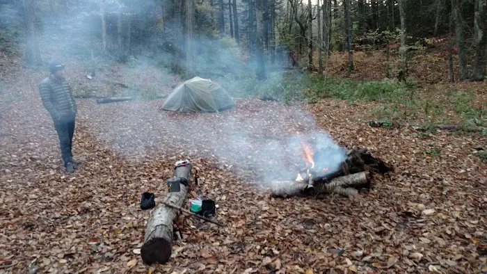 Backcountry Campsite #44 Picture 1