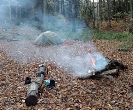 Backcountry Campsite #44