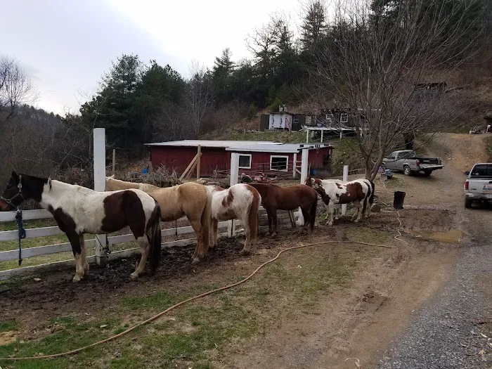 Backcountry Campsite #44 Picture 2