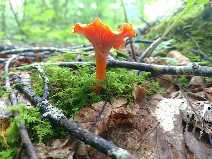 Backcountry Camp 47 Picture 1