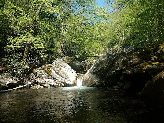 Backcountry Camp 47 Picture 15