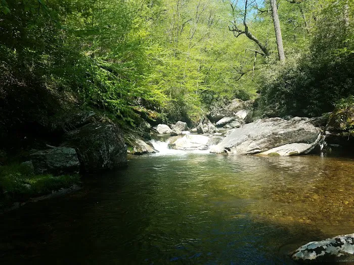 Backcountry Camp 47 Picture 19