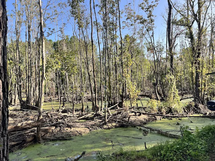 Rocks Pond campground & marina Picture 9