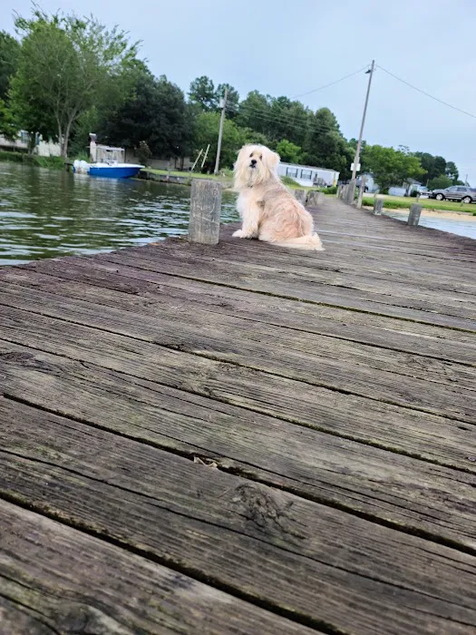 Mac's Camp Landing Picture 1