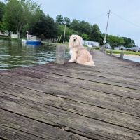 Mac's Camp Landing ico