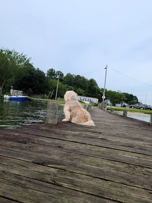 Mac's Camp Landing Picture 4