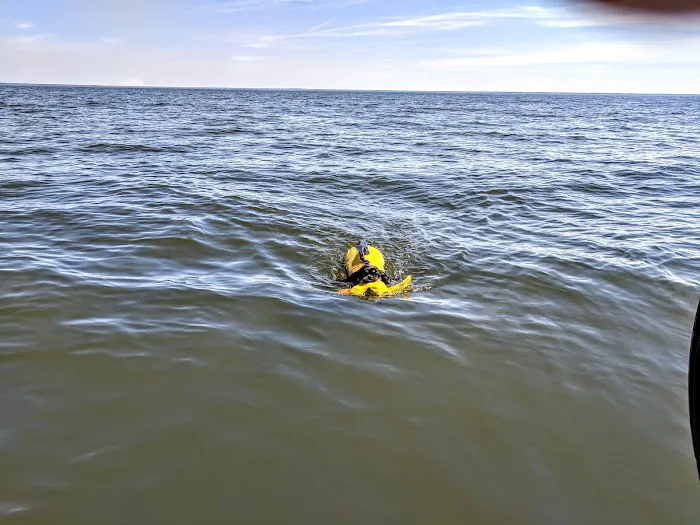 Mac's Camp Landing Picture 9